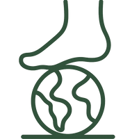 Connect to the Earth